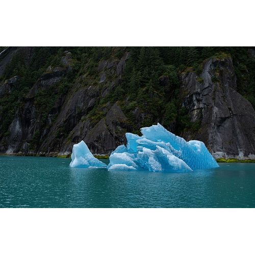 Sederquist, Betty 아티스트의 Usa-Alaska This perfect iceberg floats in the blue waters of Endicott Arm작품입니다.
